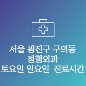 서울 광진구 구의동 정형외과 주말 토요일 일요일 문여는 병원 진료시간