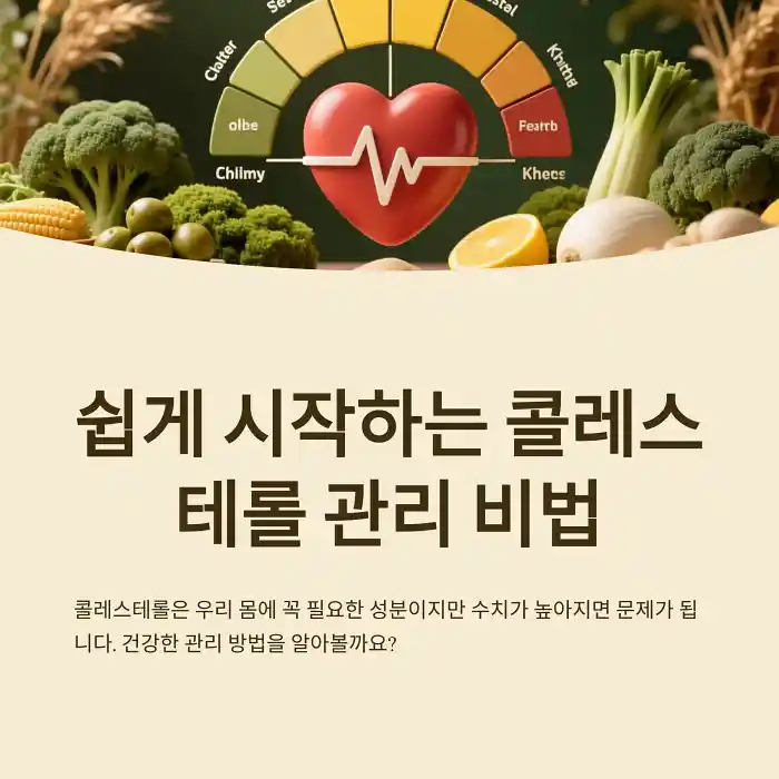 쉽게 시작하는 콜레스테롤 관리 비법