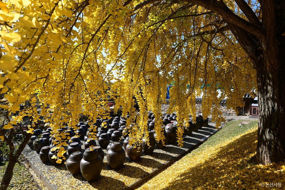 논산 가볼만한곳 베스트10