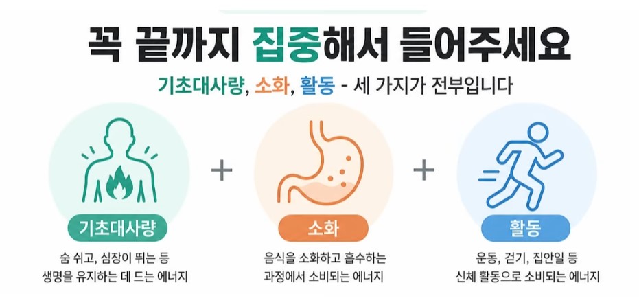 기초대사량의 종류에 대한 설명