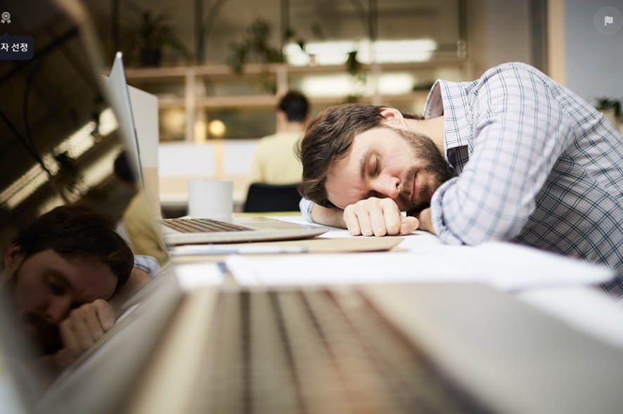 직장 내 인간관계 꿀팁: 성공적인 직장 생활을 위한 가이드