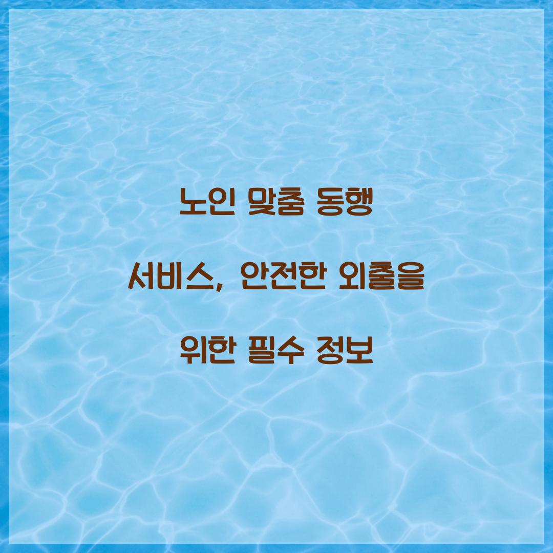 노인 맞춤 동행