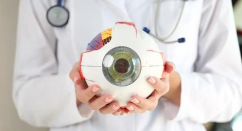 눈 건강에 좋은 영양제 필수 영양제 TOP 5