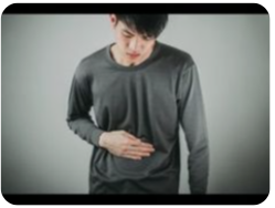 배변활동 개선 약