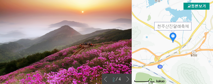 천주산 진달래축제 창원