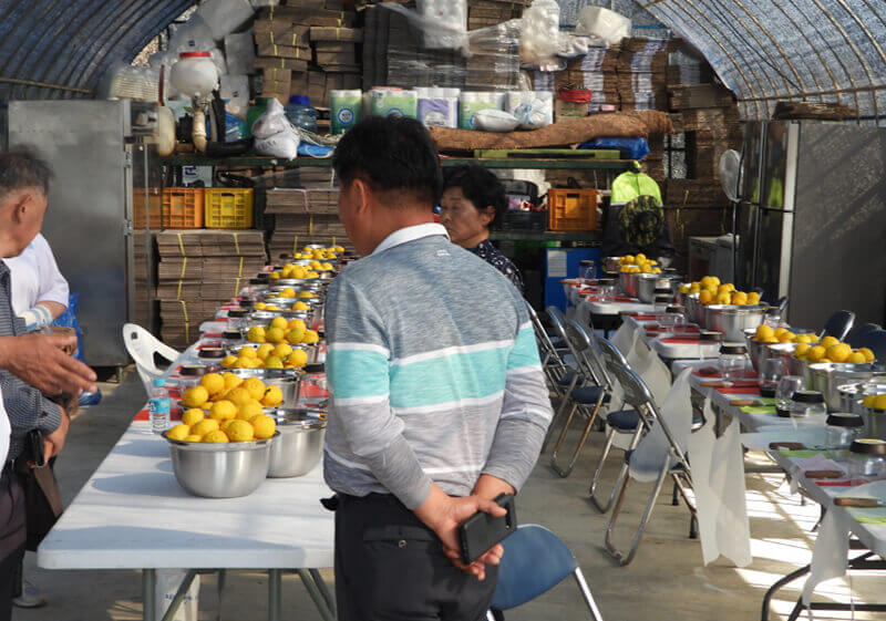 2024 고흥유자축제 일정 프로그램 초대가수 