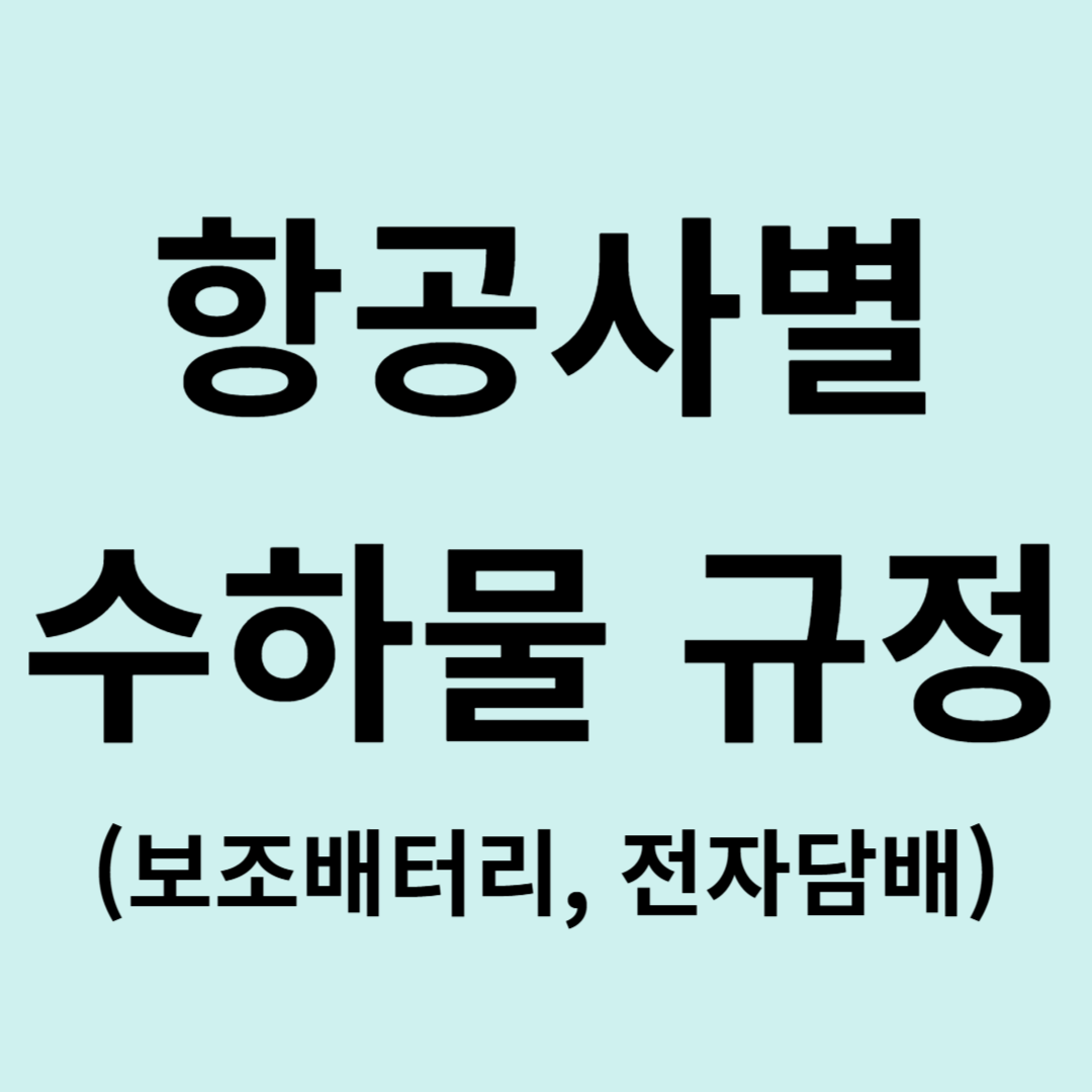 항공사별 수하물 규정 확인