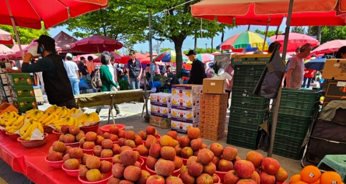 요아정 반값데이