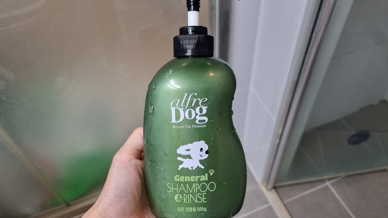 알프레독 올인원