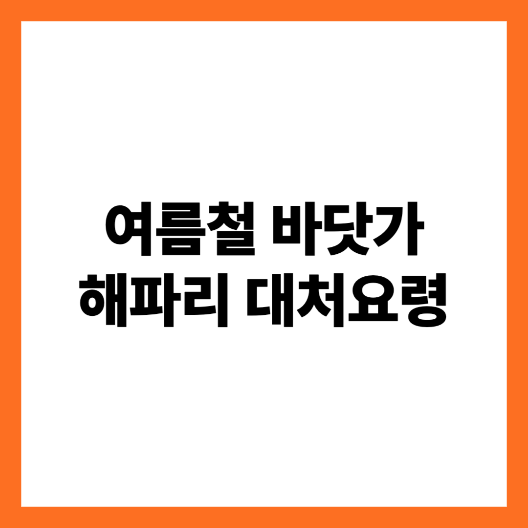 해파리신고 해파리속보 해파리응급처치