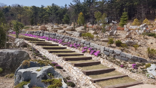 바다향기수목원