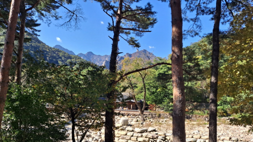 설악산_단풍여행_총정리