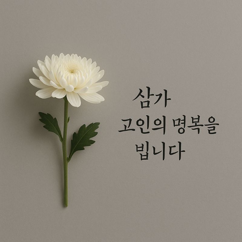 조문 위로 문자 이미지