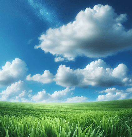 을목은 부드러운 풀