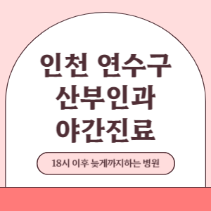 인천 연수구 야간진료 산부인과 병원 (18시 이후 늦게까지하는 병원)