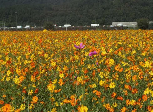 노원체육공원