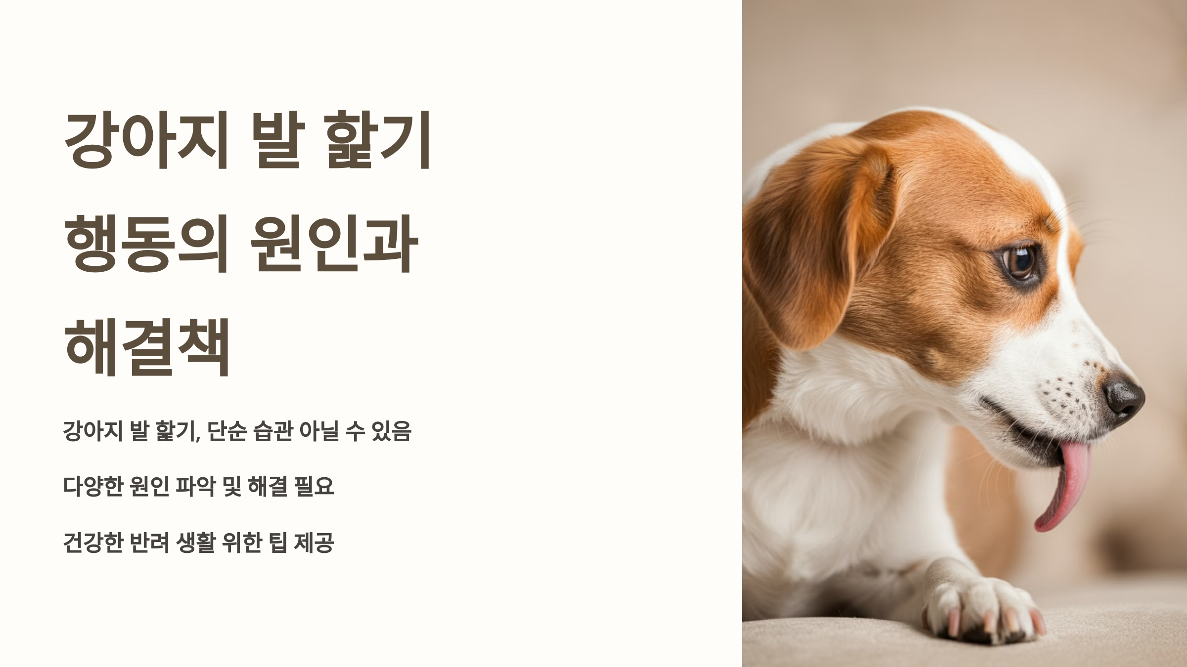 해결책