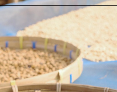 병아리콩 효능 부작용