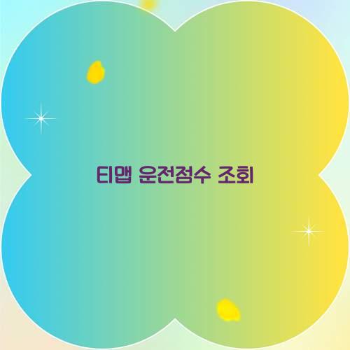 티맵 운전점수 조회