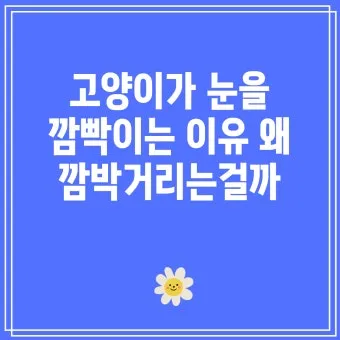 "고양이