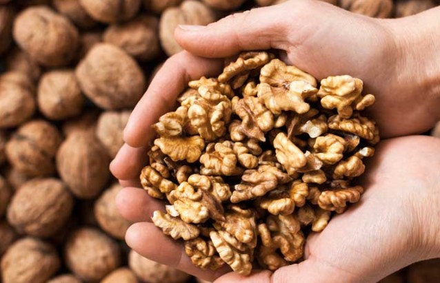 호두 효능 5가지 및 호두 칼로리와 하루 권장 섭취량 총정리