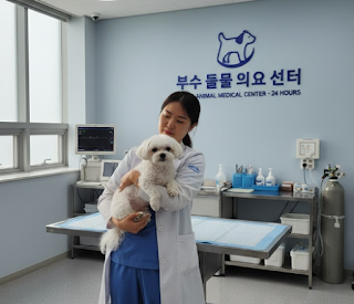 24시 동물병원 선택, 야간 응급 상황 안심하고 대비해요 관련이미지