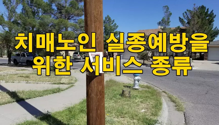 치매노인 실종예방을 위한 서비스 종류