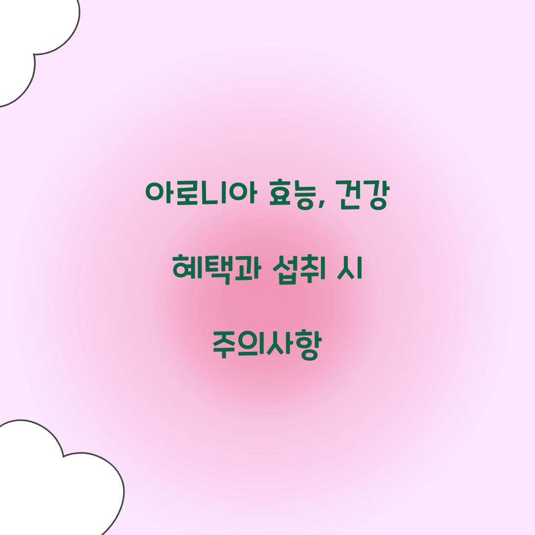 아로니아 효능