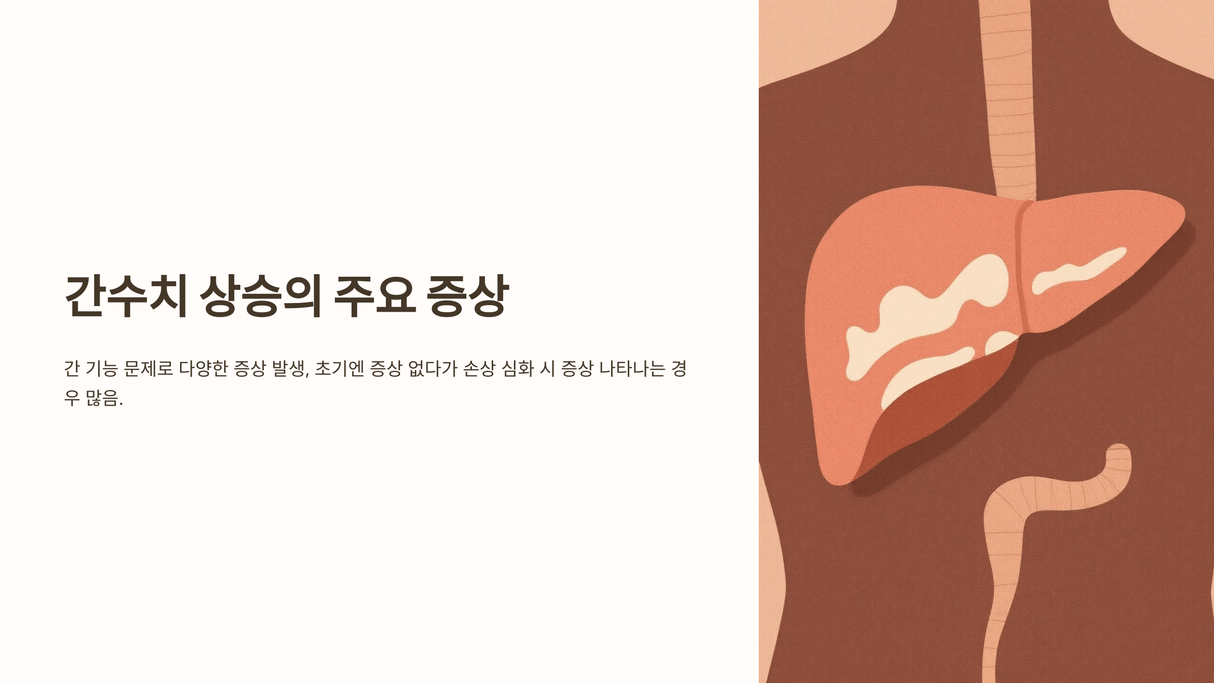 간수치와 관련된 사진입니다.