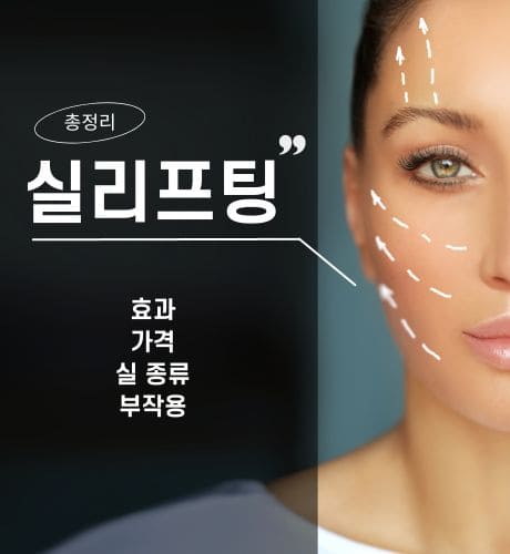 실리프팅
