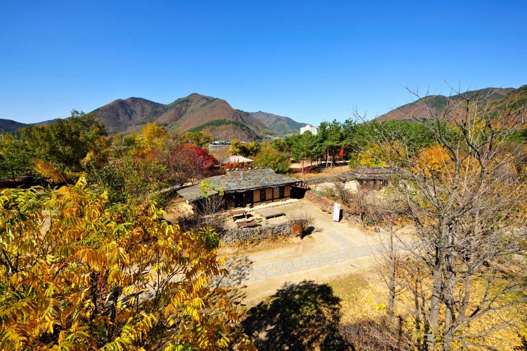 서울에서 정선 아라리촌 가는 대중교통