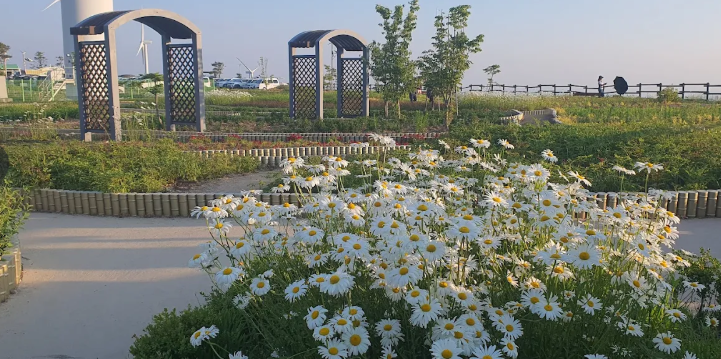 평창 육백마지기 가볼만한 곳 완벽 정리