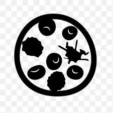 백혈구 정상수치 