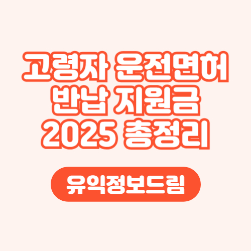 고령자 운전면허 반납 혜택 대상 2025년 완벽정리