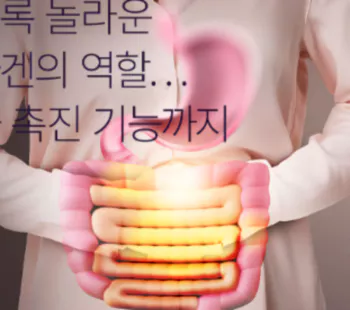 소화촉진1
