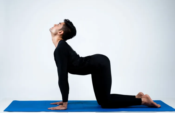 고양이-소 자세(Cat-Cow Pose) - 복부 마사지 효과