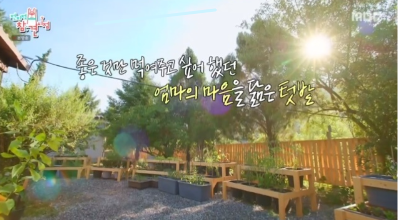 이영자 사는 곳 용인 세컨하우스 3도4촌 라이프 정리