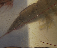 홍성남당항 대하축제