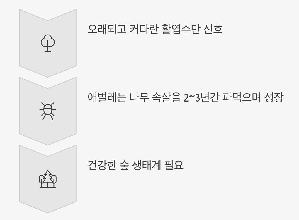 까다로운 미식가의 특별한 식단