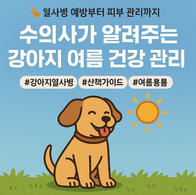 강아지 여름 건강 지키는 방법