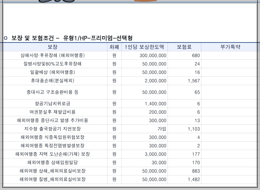 여행자보험-4