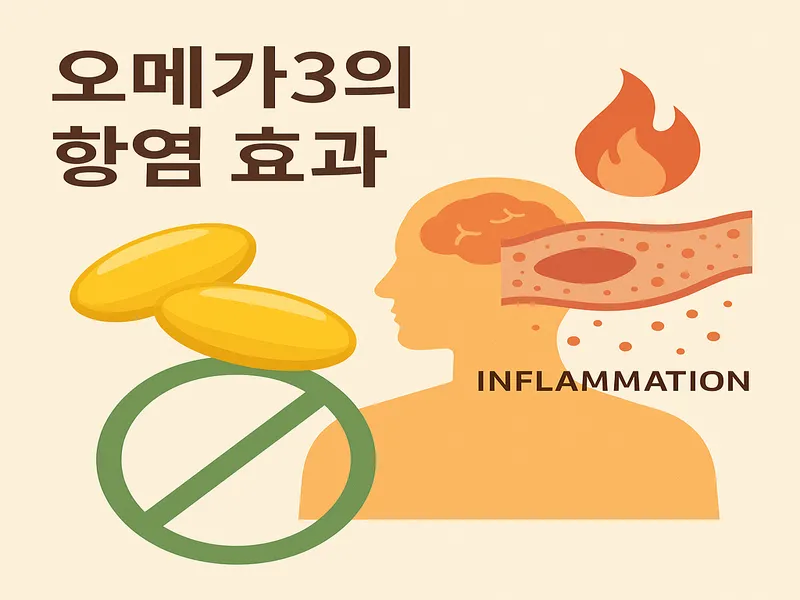 오메가3의 항염 효과 - 관절과 전신 염증 완화에 도움