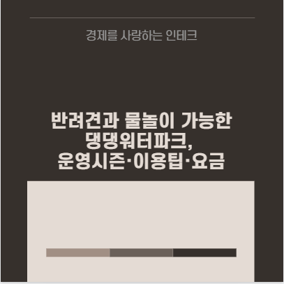 반려견과 물놀이 가능한 댕댕워터파크, 운영시즌·이용팁·요금