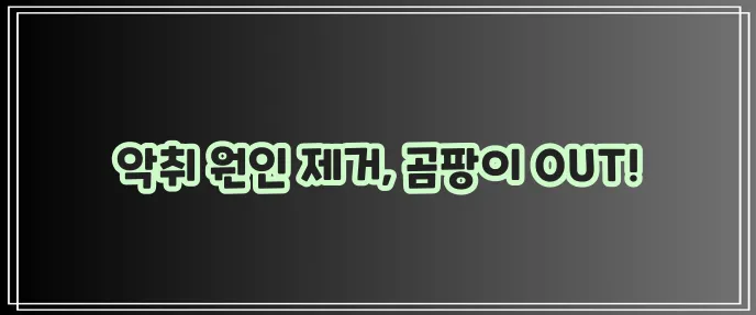 곰팡이 냄새 없애는 방법 확실하게 알아보자!