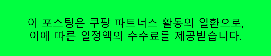 2025 차량용 미니 청소기 추천 TOP 5