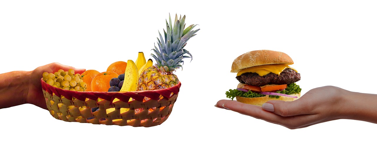 동서양 건강 관리 방법 차이