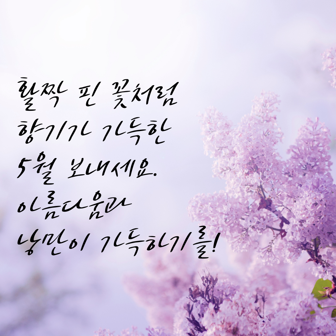 5월 인사말 문구 모음집 이미지