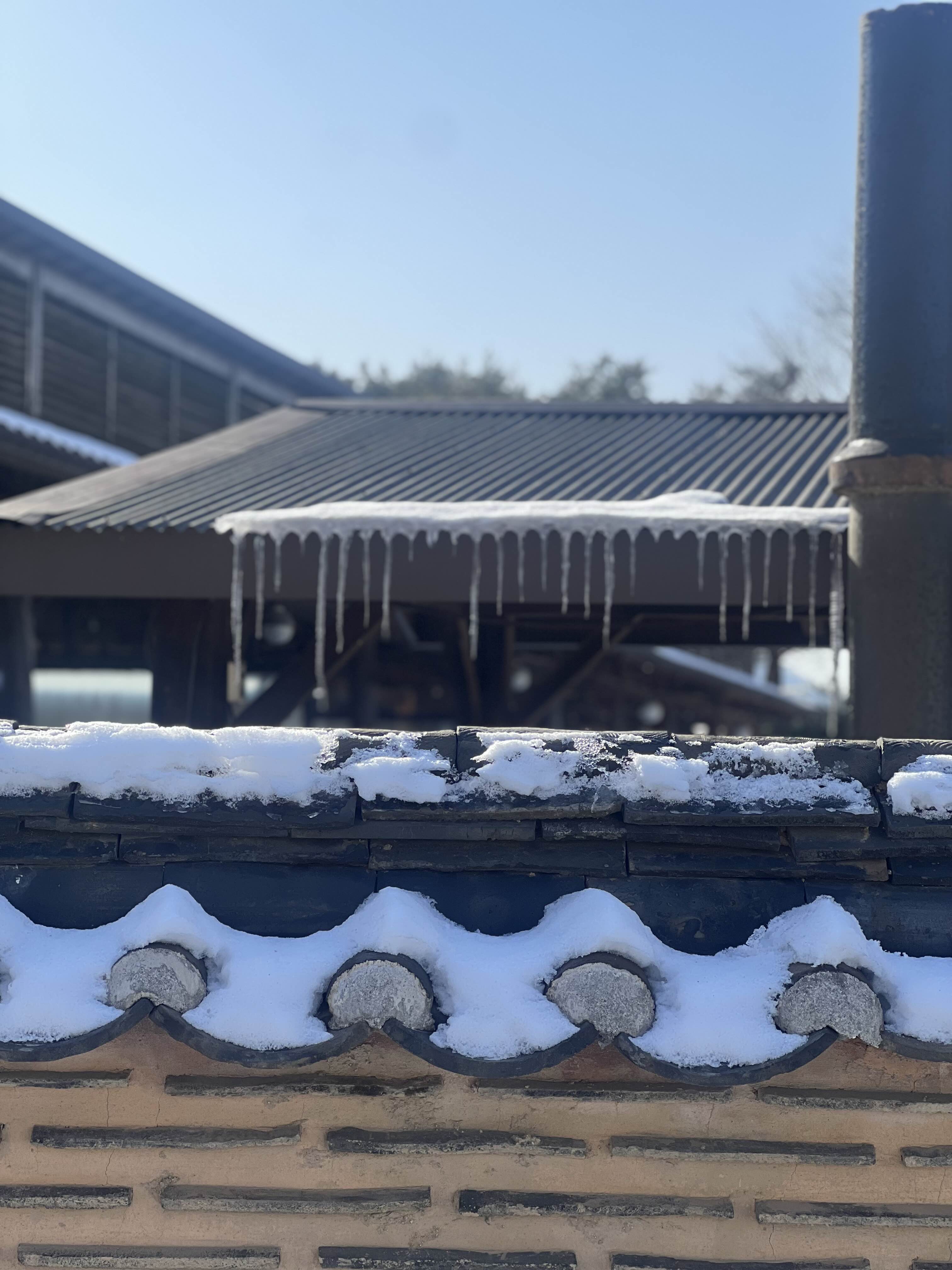 고드름이 달린 산사원