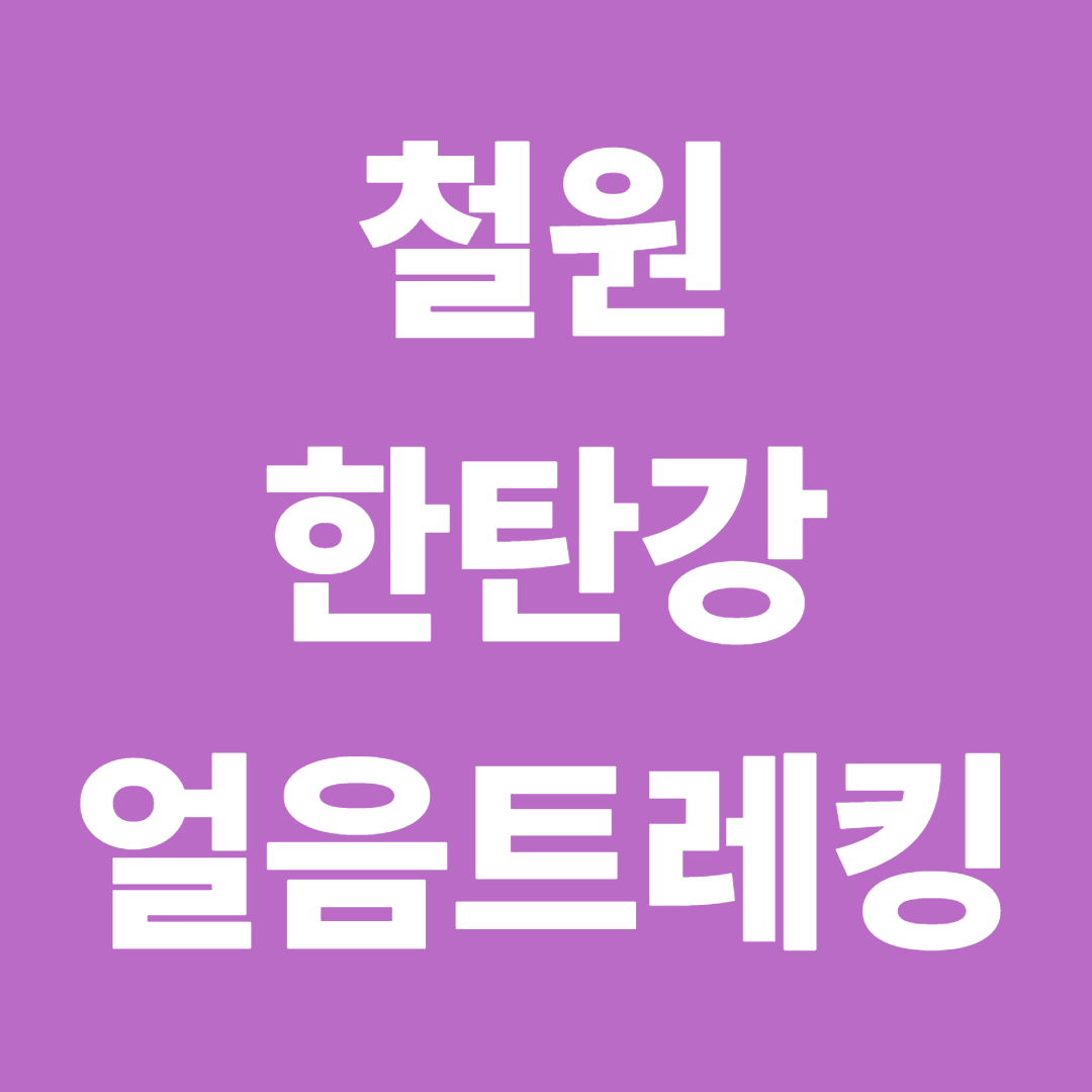 철원 한탄강 얼음트레킹|유네스코 협곡 위를 걷는 겨울 축제