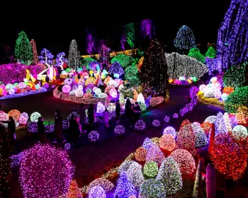 아침고요수목원_7